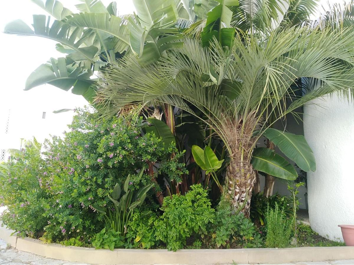 Garden View Vilamoura Apartment Dış mekan fotoğraf